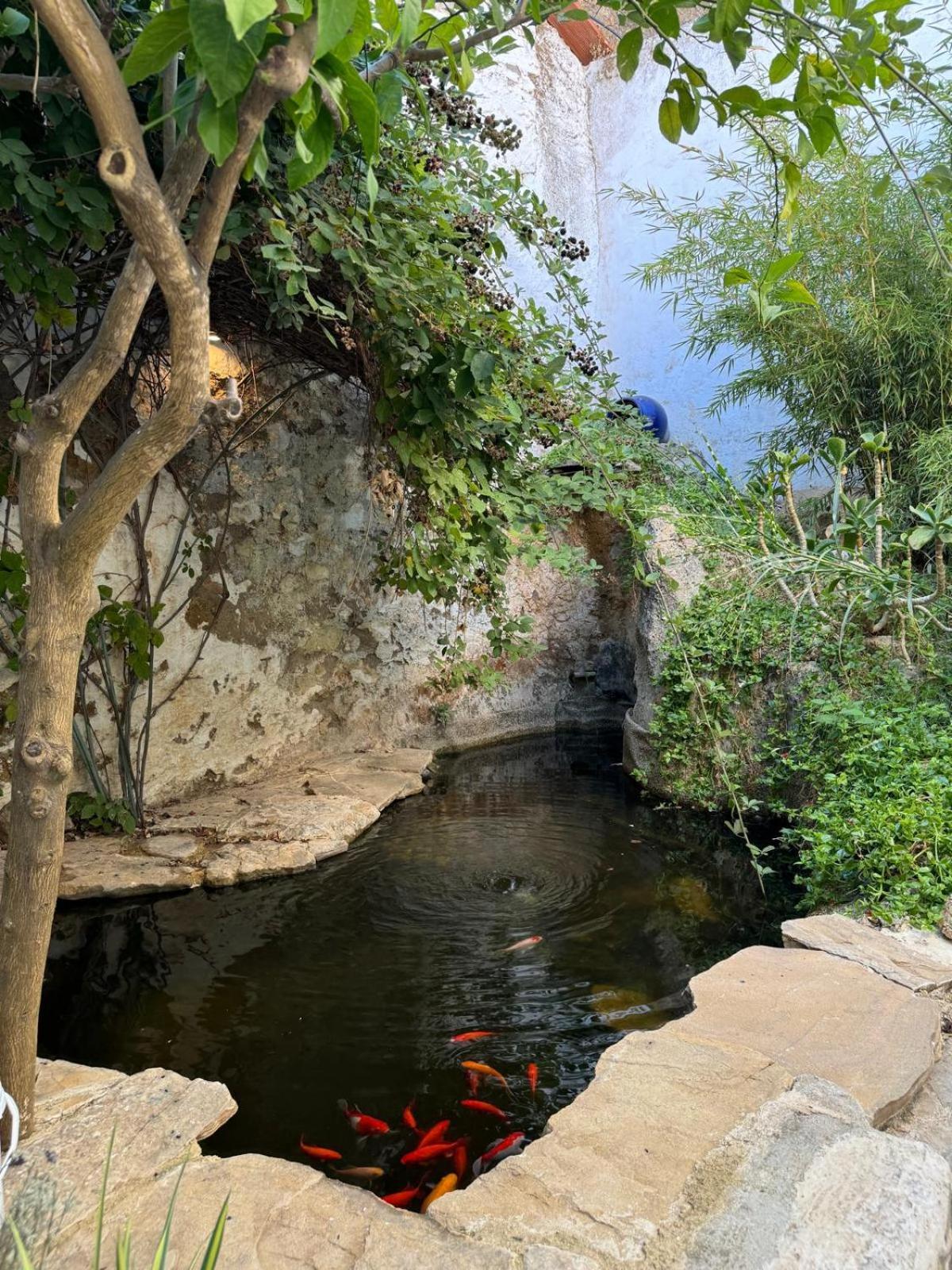Despertar Villa Antequera Exteriör bild